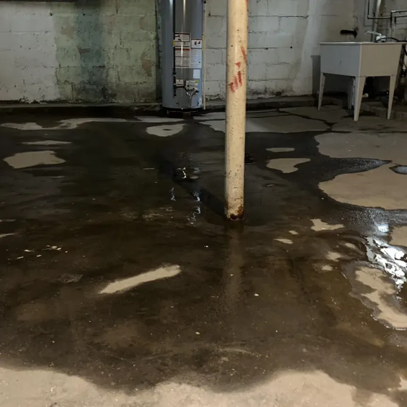 Emergency Water Extraction And Removal in Fern Creek, KY